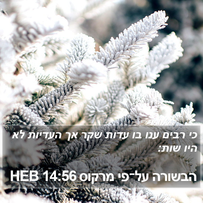 הבשורה על־פי מרקוס 14:56 HEB Bible Study