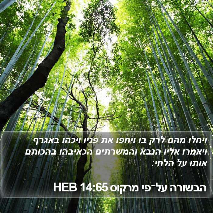 הבשורה על־פי מרקוס 14:65 HEB Bible Study