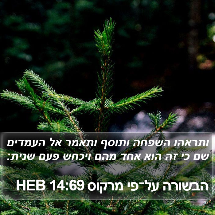 הבשורה על־פי מרקוס 14:69 HEB Bible Study