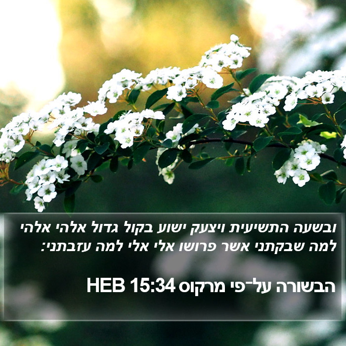 הבשורה על־פי מרקוס 15:34 HEB Bible Study