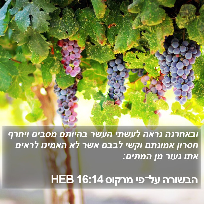 הבשורה על־פי מרקוס 16:14 HEB Bible Study