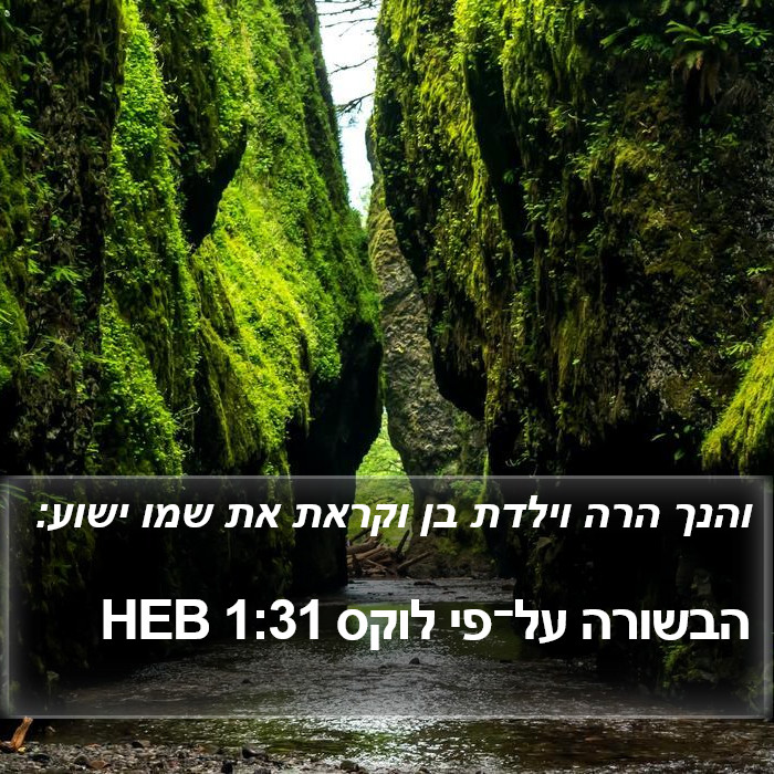 הבשורה על־פי לוקס 1:31 HEB Bible Study