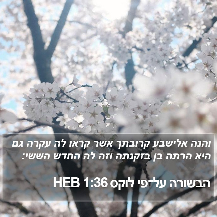 הבשורה על־פי לוקס 1:36 HEB Bible Study