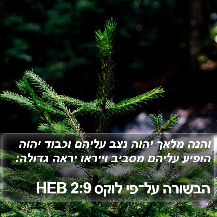 הבשורה על־פי לוקס 2:9 HEB Bible Study