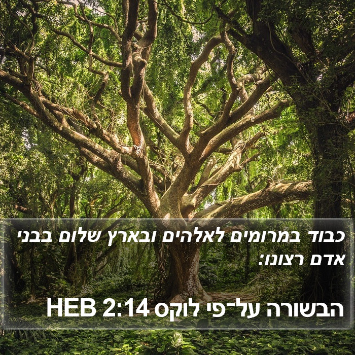 הבשורה על־פי לוקס 2:14 HEB Bible Study