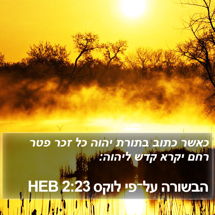 הבשורה על־פי לוקס 2:23 HEB Bible Study