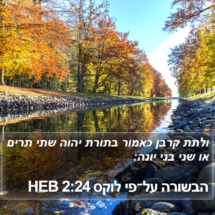 הבשורה על־פי לוקס 2:24 HEB Bible Study