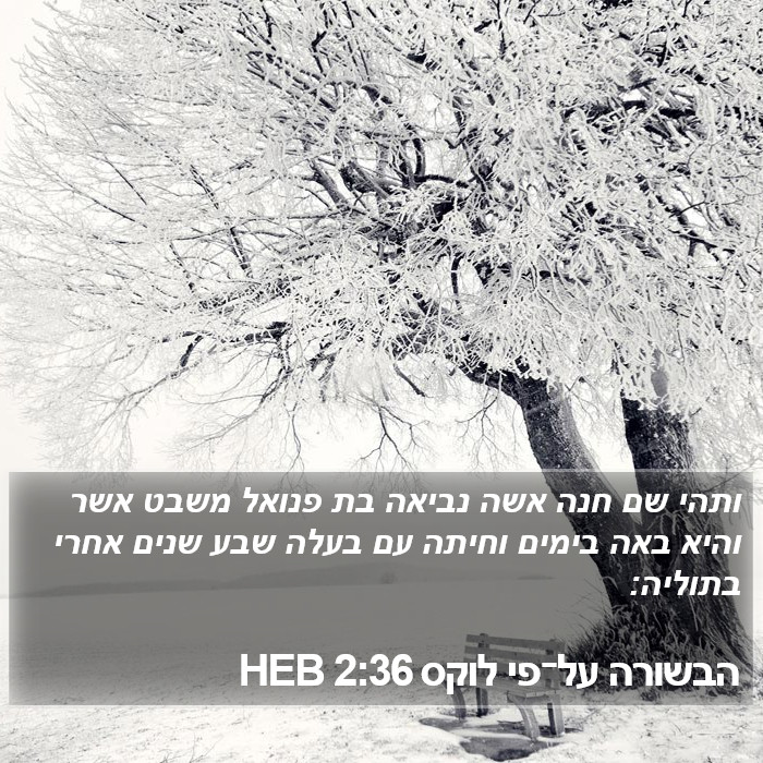 הבשורה על־פי לוקס 2:36 HEB Bible Study