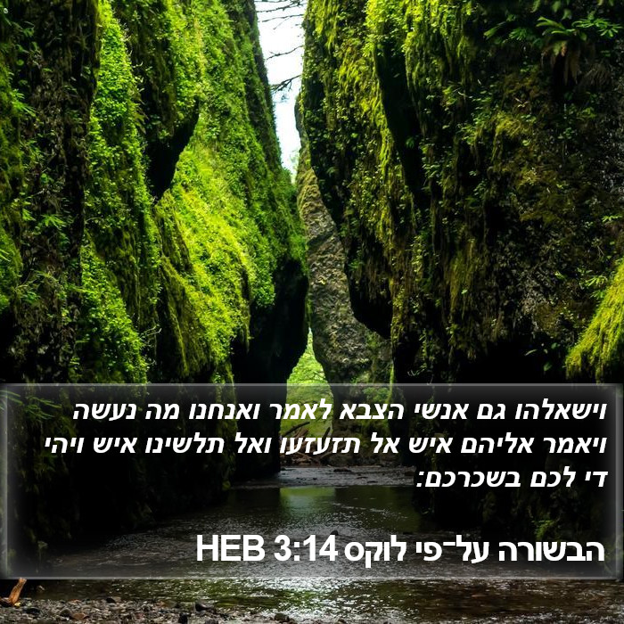 הבשורה על־פי לוקס 3:14 HEB Bible Study