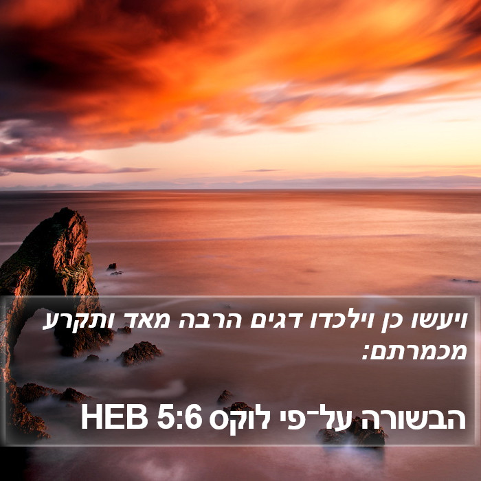 הבשורה על־פי לוקס 5:6 HEB Bible Study