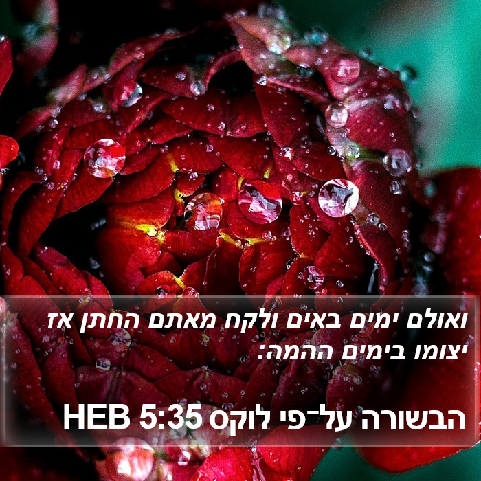 הבשורה על־פי לוקס 5:35 HEB Bible Study