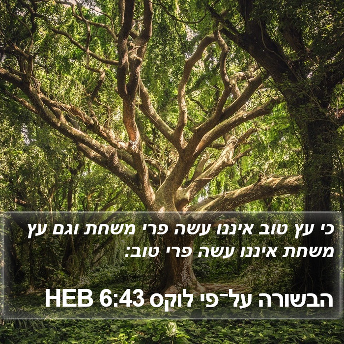 הבשורה על־פי לוקס 6:43 HEB Bible Study