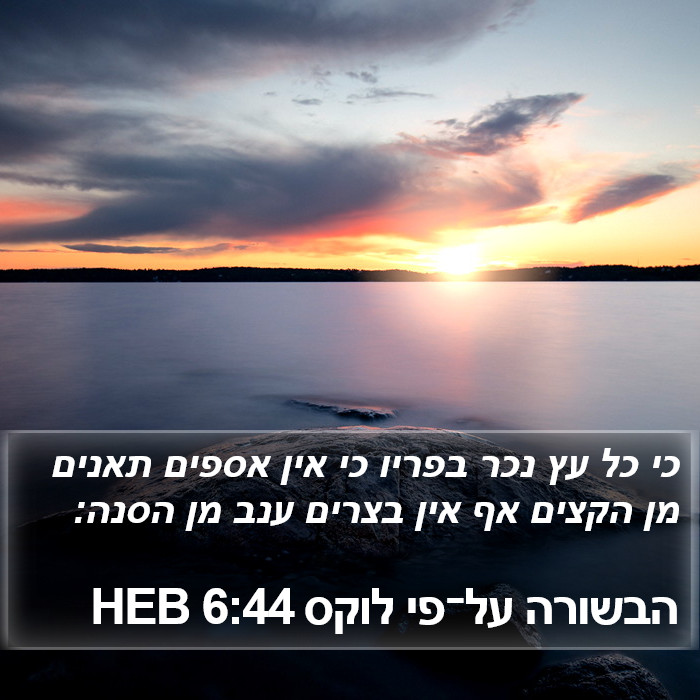 הבשורה על־פי לוקס 6:44 HEB Bible Study