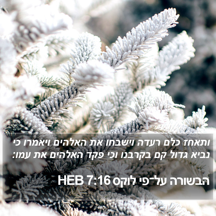 הבשורה על־פי לוקס 7:16 HEB Bible Study