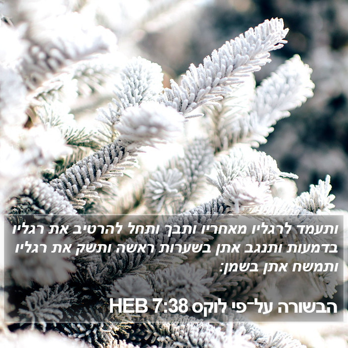 הבשורה על־פי לוקס 7:38 HEB Bible Study