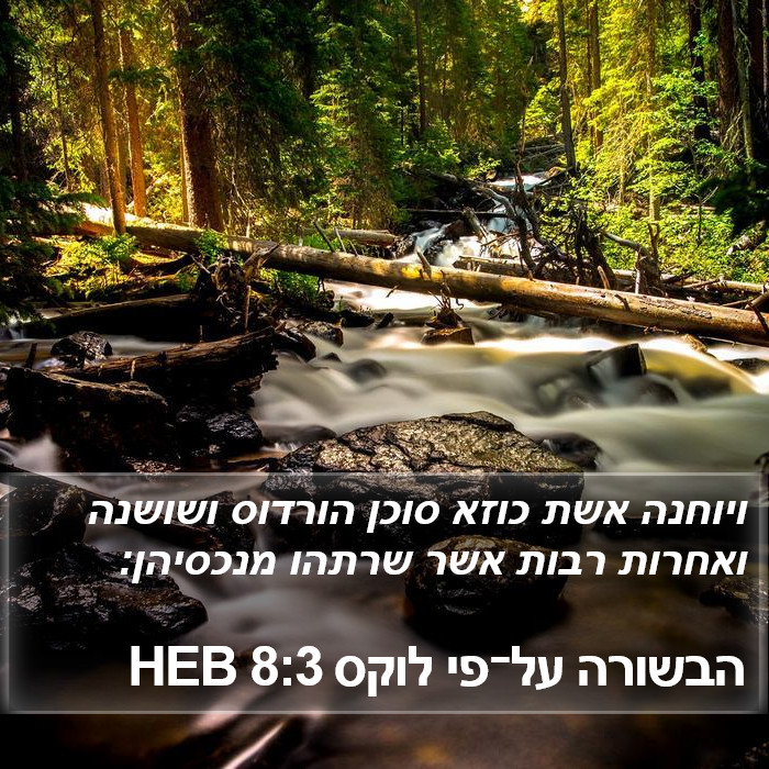 הבשורה על־פי לוקס 8:3 HEB Bible Study