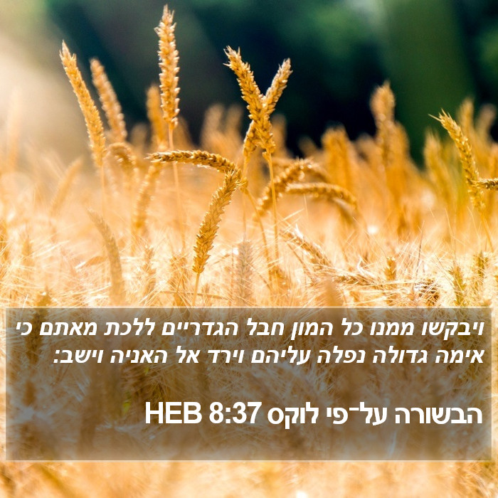 הבשורה על־פי לוקס 8:37 HEB Bible Study