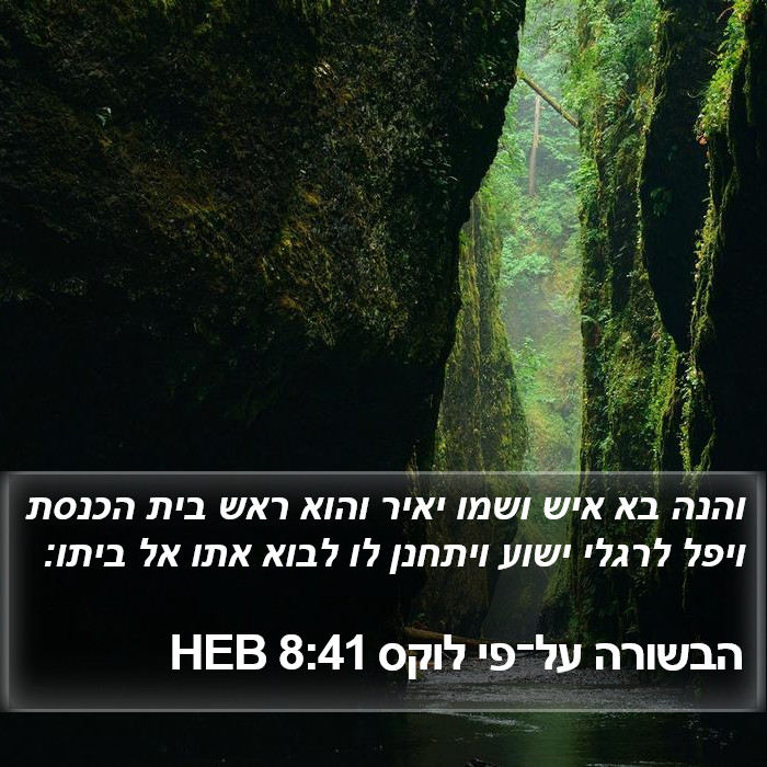 הבשורה על־פי לוקס 8:41 HEB Bible Study