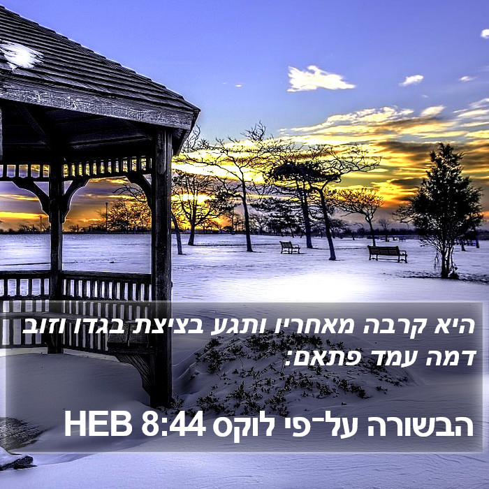 הבשורה על־פי לוקס 8:44 HEB Bible Study