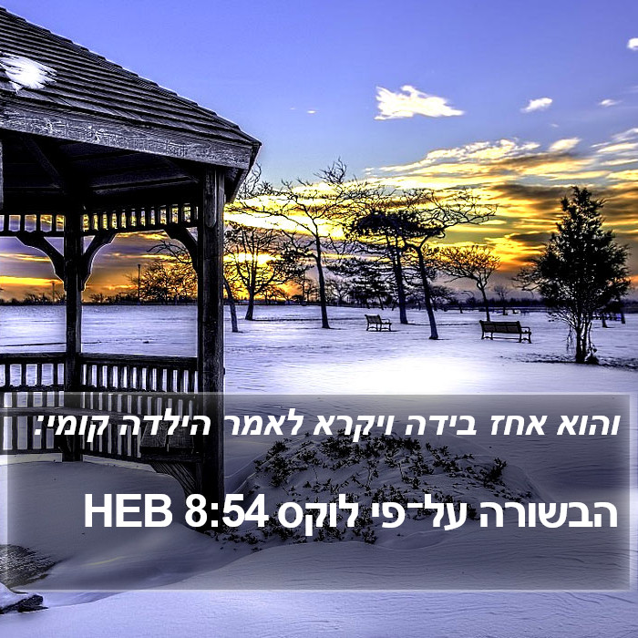 הבשורה על־פי לוקס 8:54 HEB Bible Study