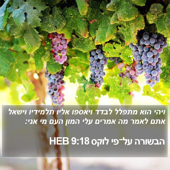 הבשורה על־פי לוקס 9:18 HEB Bible Study