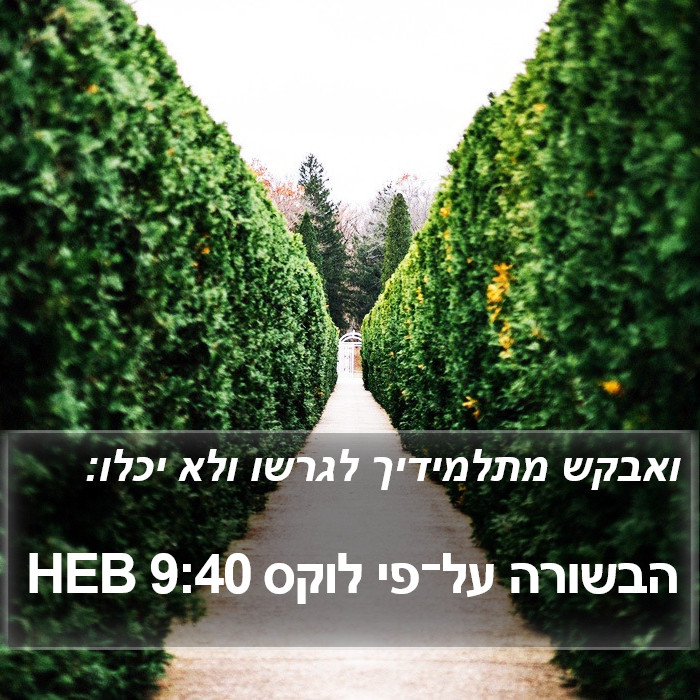 הבשורה על־פי לוקס 9:40 HEB Bible Study