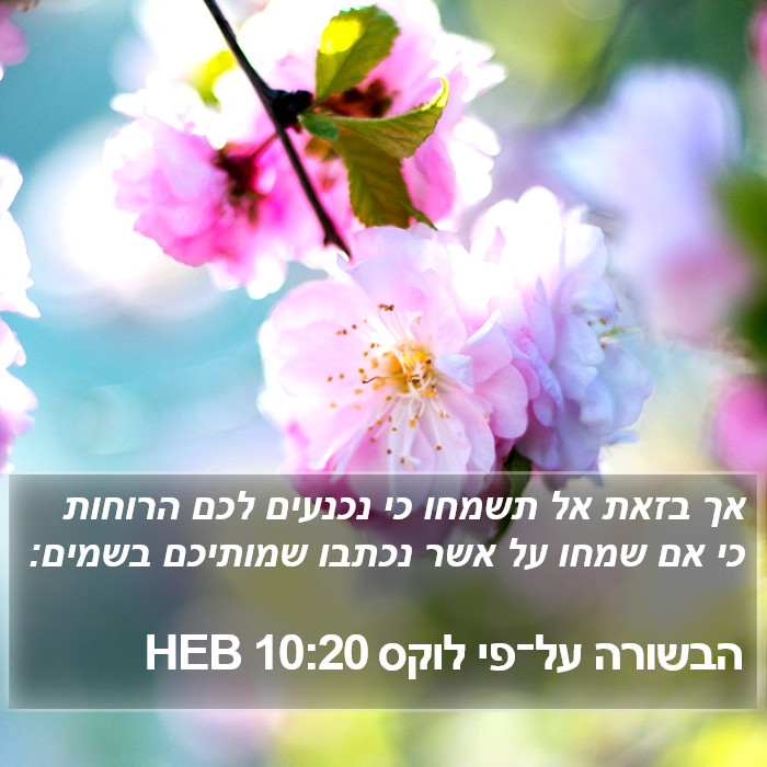 הבשורה על־פי לוקס 10:20 HEB Bible Study