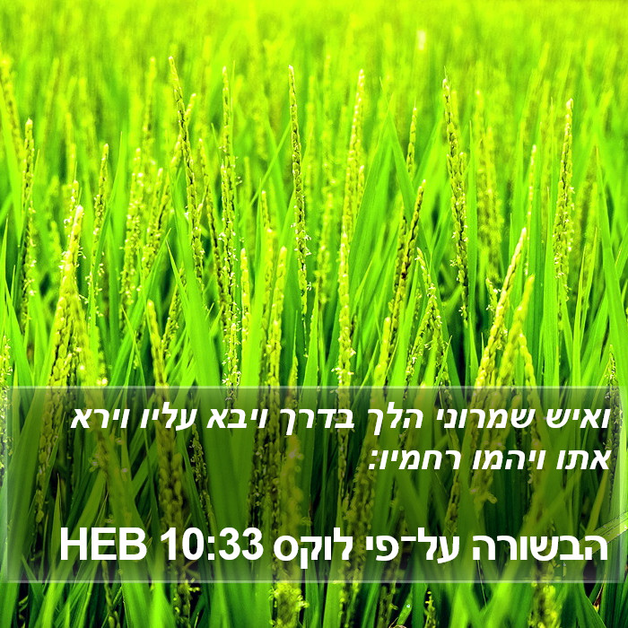הבשורה על־פי לוקס 10:33 HEB Bible Study