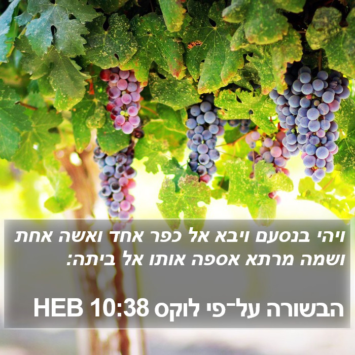 הבשורה על־פי לוקס 10:38 HEB Bible Study