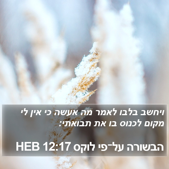 הבשורה על־פי לוקס 12:17 HEB Bible Study