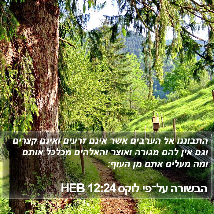 הבשורה על־פי לוקס 12:24 HEB Bible Study