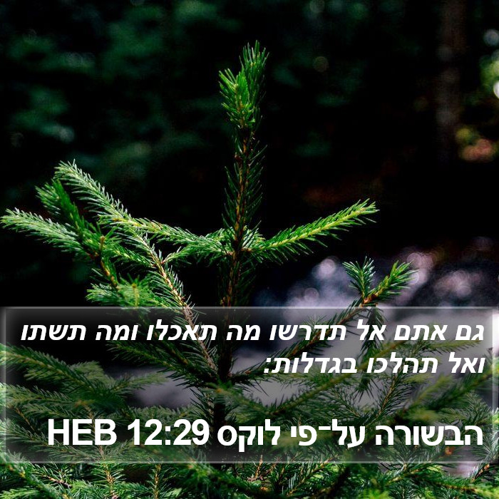 הבשורה על־פי לוקס 12:29 HEB Bible Study