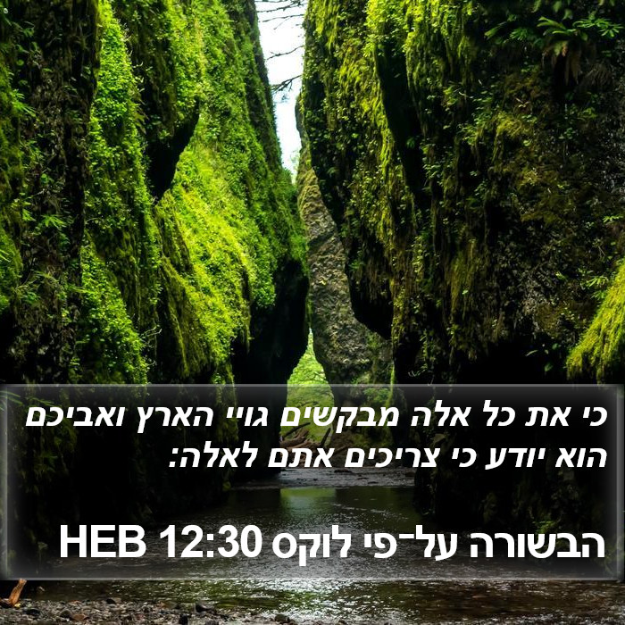 הבשורה על־פי לוקס 12:30 HEB Bible Study