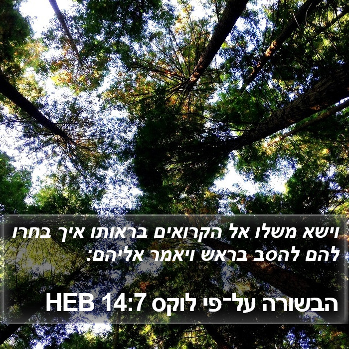 הבשורה על־פי לוקס 14:7 HEB Bible Study