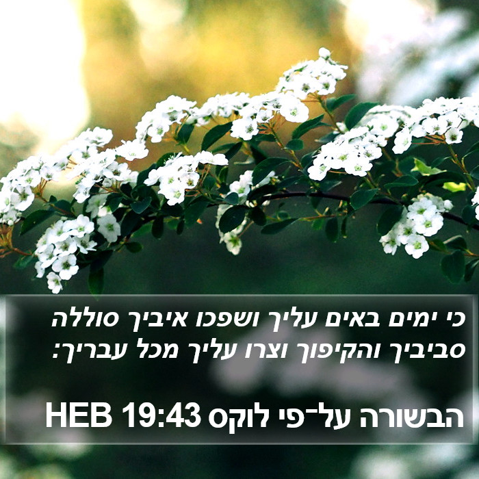 הבשורה על־פי לוקס 19:43 HEB Bible Study