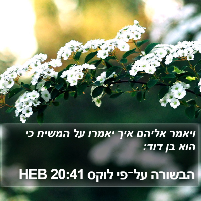 הבשורה על־פי לוקס 20:41 HEB Bible Study