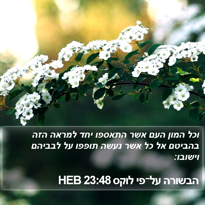 הבשורה על־פי לוקס 23:48 HEB Bible Study