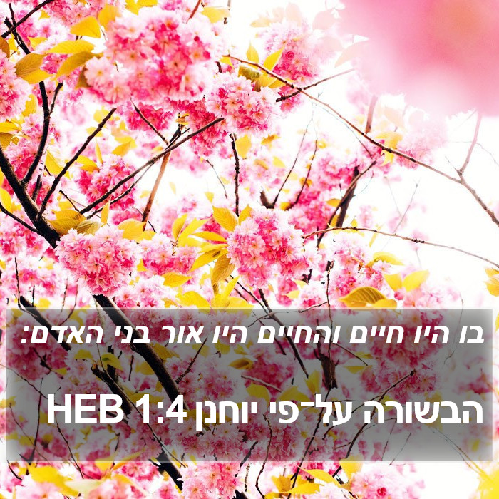 הבשורה על־פי יוחנן 1:4 HEB Bible Study