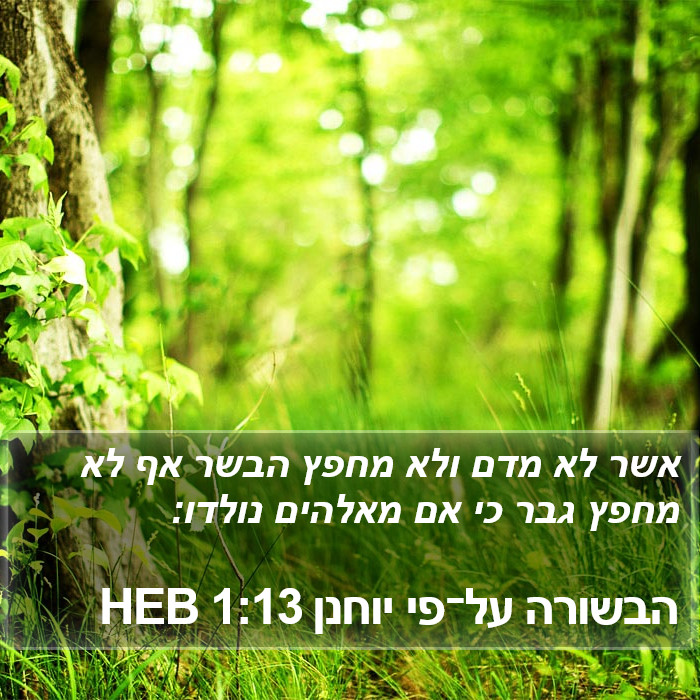 הבשורה על־פי יוחנן 1:13 HEB Bible Study