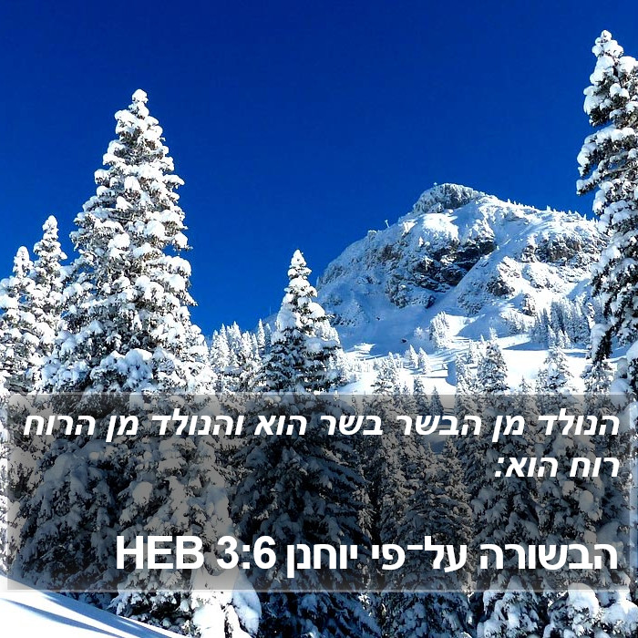 הבשורה על־פי יוחנן 3:6 HEB Bible Study