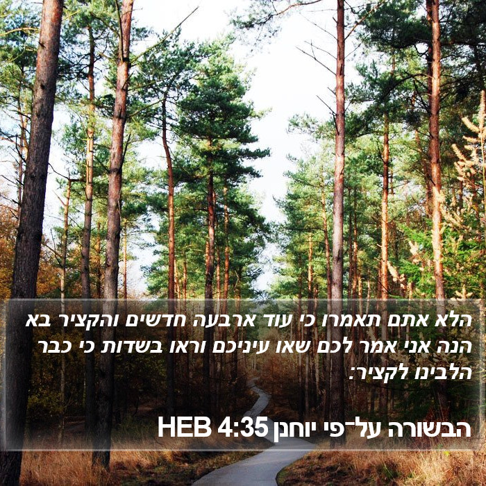 הבשורה על־פי יוחנן 4:35 HEB Bible Study