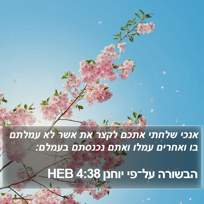 הבשורה על־פי יוחנן 4:38 HEB Bible Study