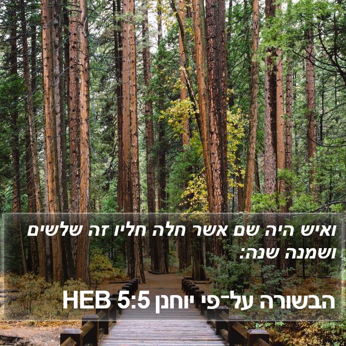 הבשורה על־פי יוחנן 5:5 HEB Bible Study