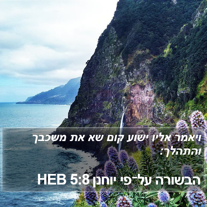 הבשורה על־פי יוחנן 5:8 HEB Bible Study