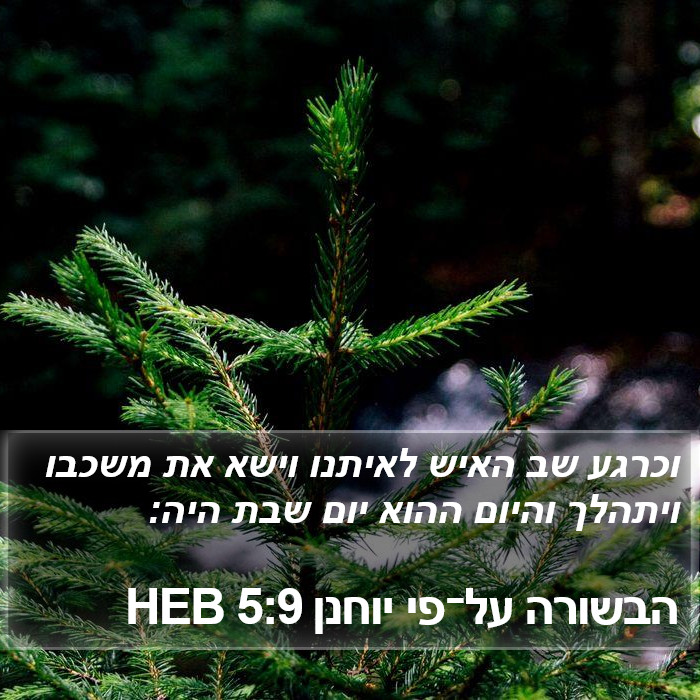 הבשורה על־פי יוחנן 5:9 HEB Bible Study