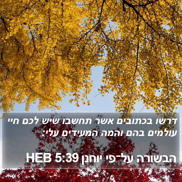 הבשורה על־פי יוחנן 5:39 HEB Bible Study