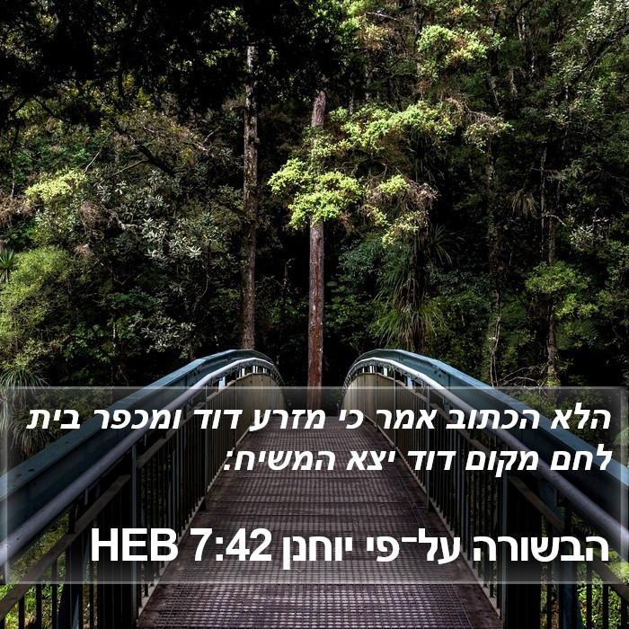 הבשורה על־פי יוחנן 7:42 HEB Bible Study