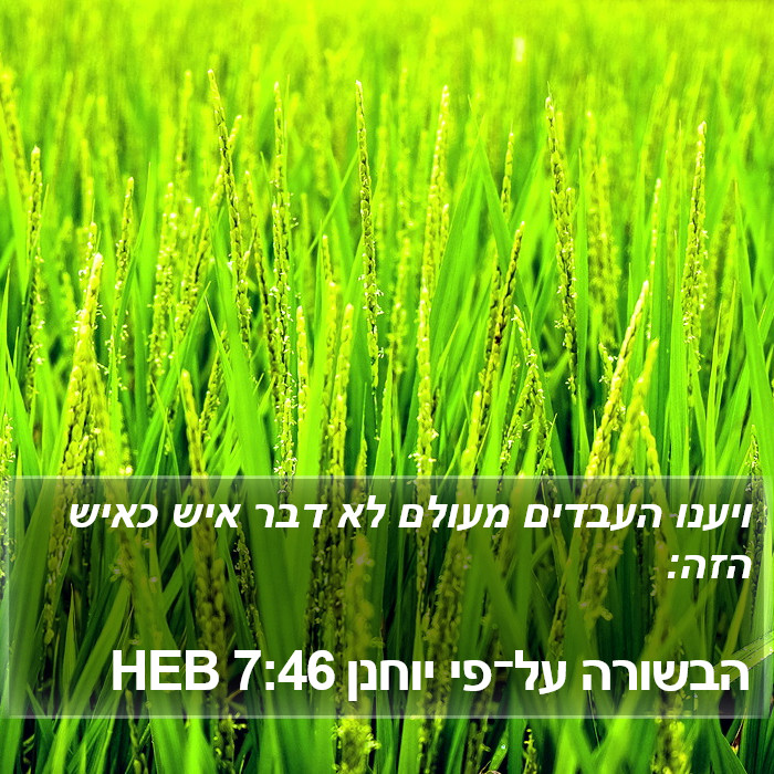 הבשורה על־פי יוחנן 7:46 HEB Bible Study