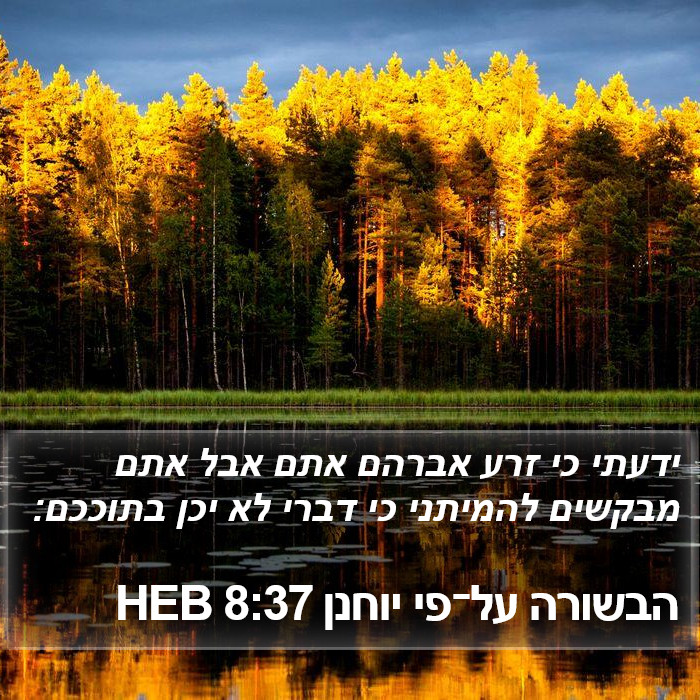 הבשורה על־פי יוחנן 8:37 HEB Bible Study