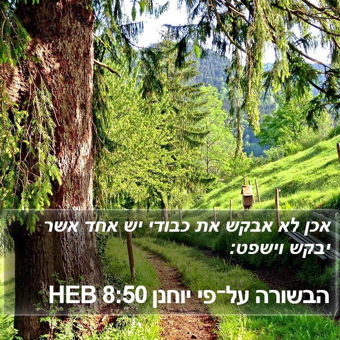 הבשורה על־פי יוחנן 8:50 HEB Bible Study